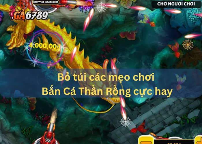 Mẹo chơi Bắn Cá Thần Rồng nâng cao khả năng chiến thắng Mẹo chơi Bắn Cá Thần Rồng nâng cao khả năng chiến thắng
